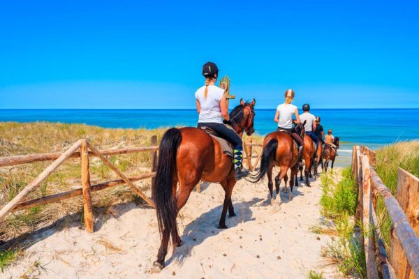 activites-sud-corse-equitation-plage