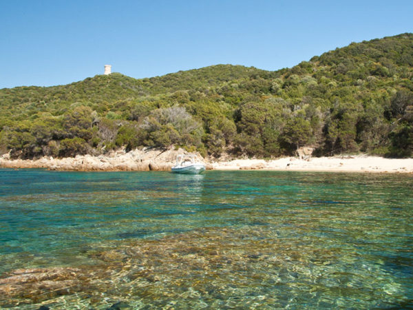 plage-porto-pollo-sud-corse-1