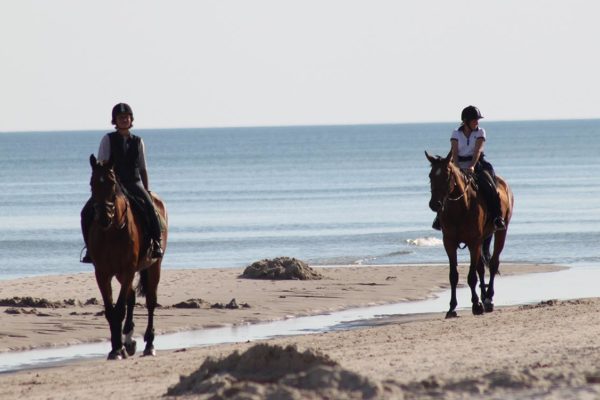 balade à cheval activités en corse du sud