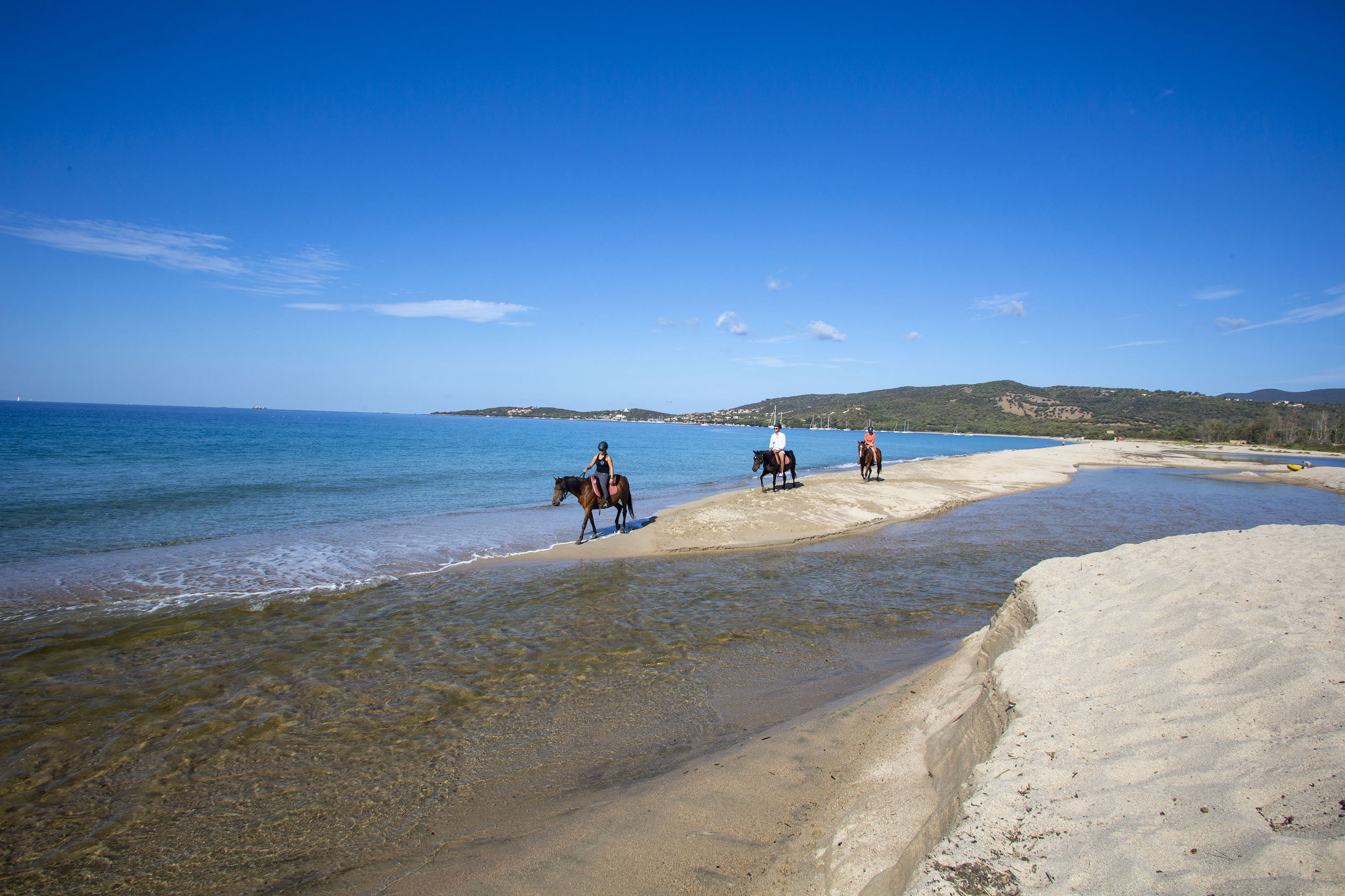 Balades et baignades à cheval au centre équestre du Golfe & Spa Hotel