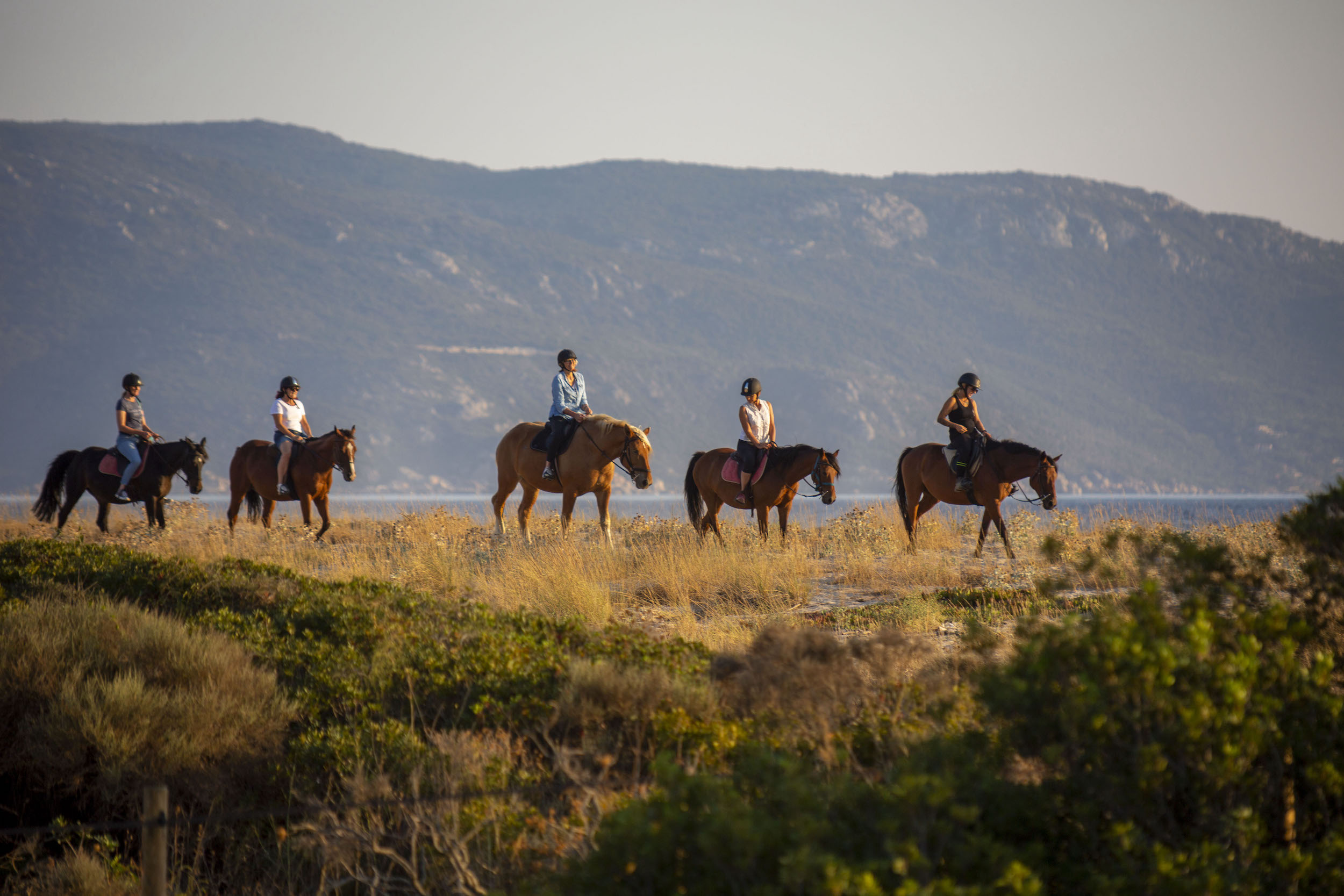 Visites à cheval pour les grands et les petits Porto Pollo