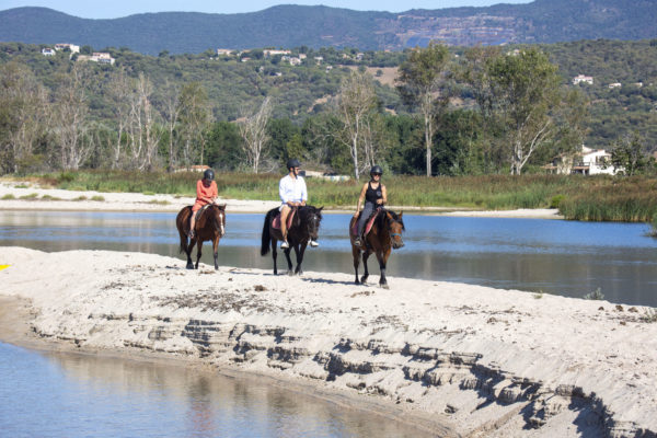 Visite du centre équestre à poney pour les enfants