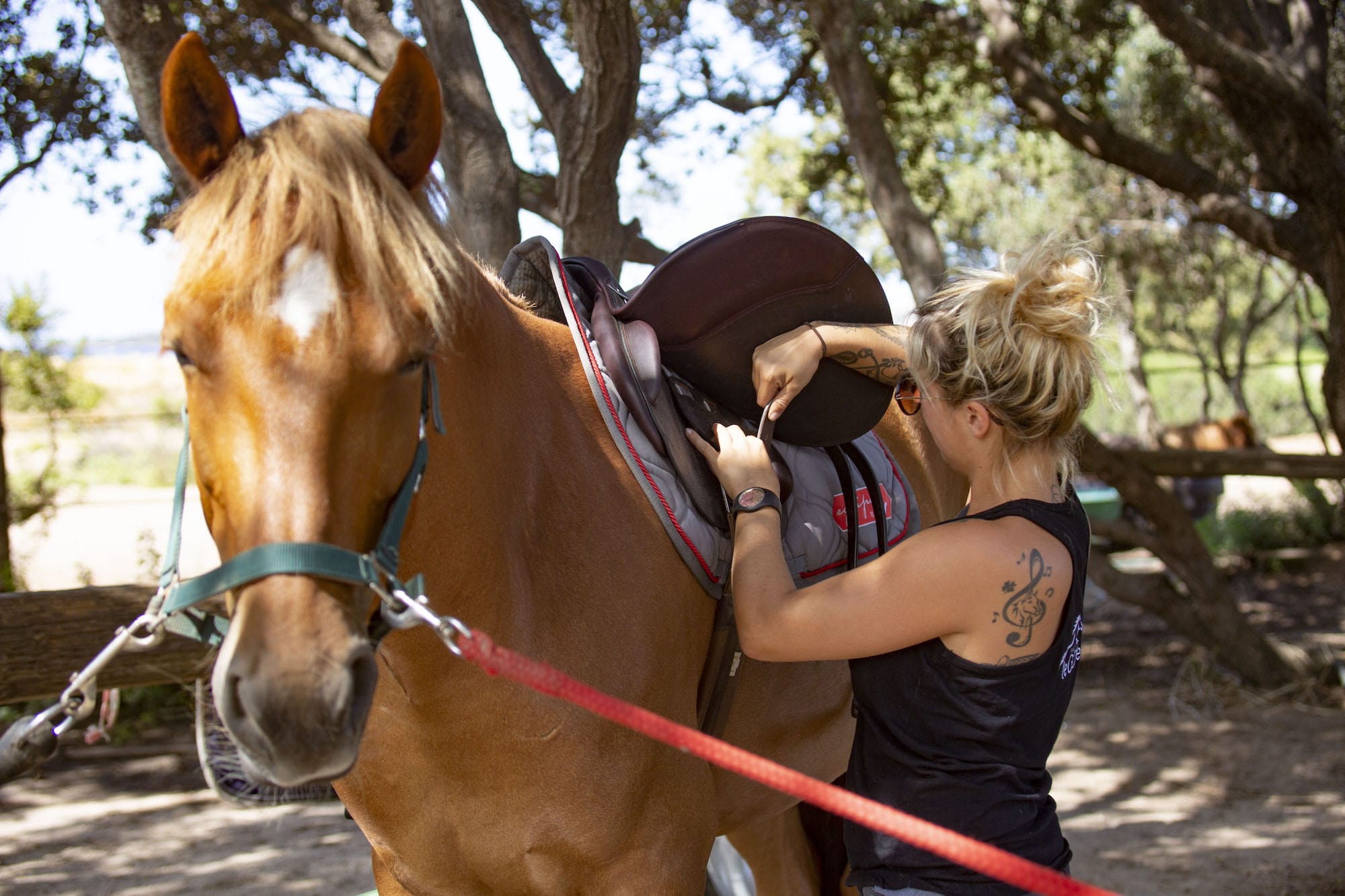 Expérience exceptionnelle balades et baignades à cheval ou poney