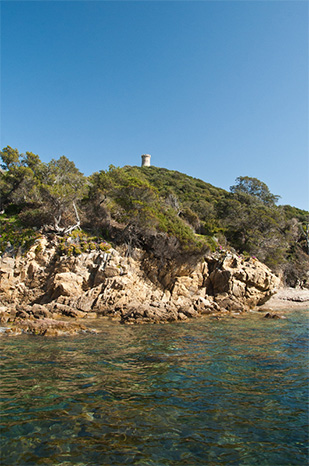 Expérience nature et Activités dans Resort sud Corse